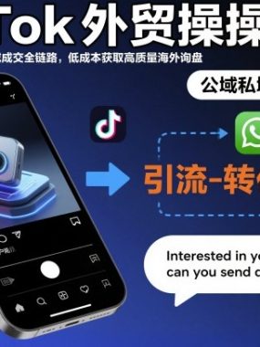 TikTok外贸操盘手,打通公域引流到私域成交全链路,低成本获取高质量海外询盘