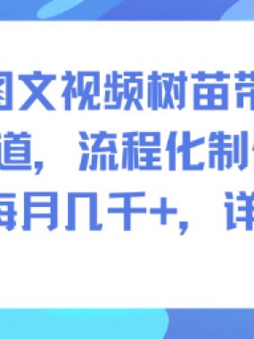 AI图文视频树苗带货，冷门赛道，流程化制作方法，单号每月几K，详细课程