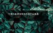 十神为食神流年为伤官什么意思