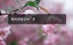 春风得意正财广进
