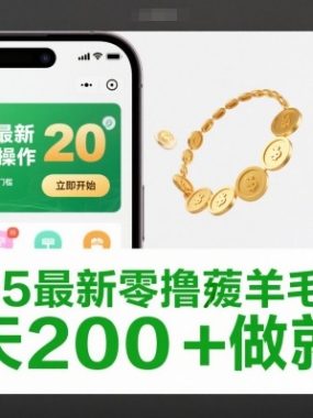 2025最新零撸薅羊毛项目，纯手机操作，20秒一单，无任何门槛，一天200+做就有【揭秘】