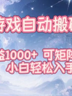 韩国游戏自动搬砖项目，日收益1k+，可矩阵放大，小白轻松入手【揭秘】