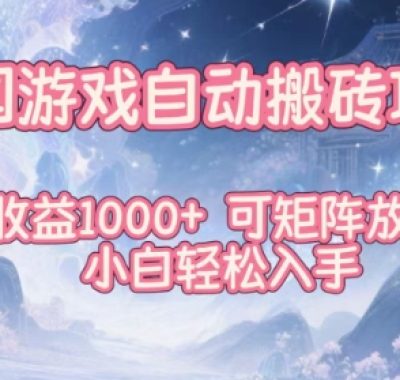 韩国游戏自动搬砖项目，日收益1k+，可矩阵放大，小白轻松入手【揭秘】