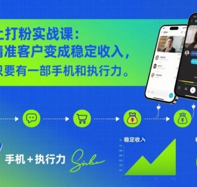 线上打粉实战课：把精准客户变成稳定收入，只要有一部手机和执行力