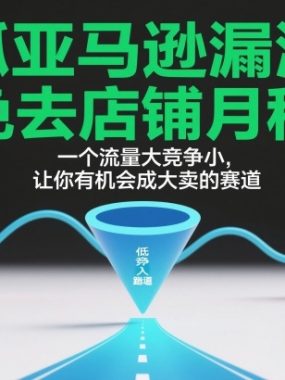 抓亚马逊漏洞，免去店铺月租，一个流量大竞争小，让你有机会成大卖的赛道
