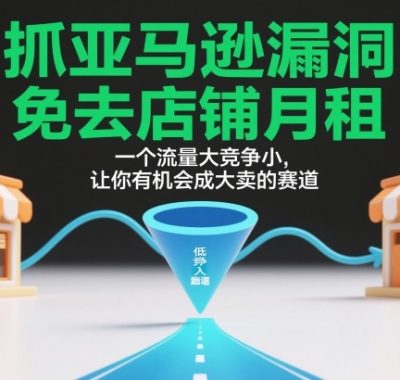 抓亚马逊漏洞，免去店铺月租，一个流量大竞争小，让你有机会成大卖的赛道