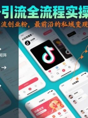 工具号引流全流程保姆级实操教程，全平台精准引流创业粉，最前沿的私域变现技术赋能