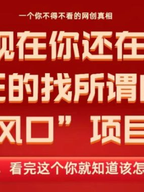 马上26年了，你还在找所谓的风口项目？别傻了，看完这个你全都懂了！【揭秘】