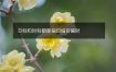 日柱和时柱都是偏印偏官偏财