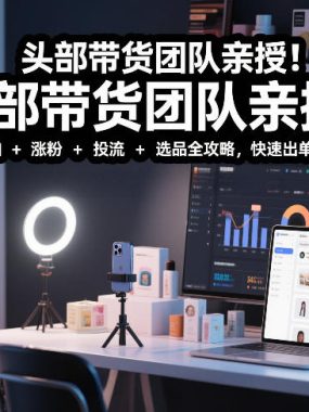 头部带货团队亲授！专业短视频实拍带货课：桌拍+涨粉+投流+选品全攻略，快速出单变现，月入2w+