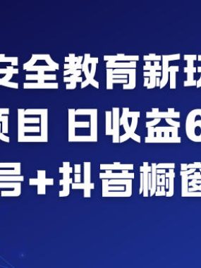 AI安全教育新玩法，蓝海项目，日收益6张+，视频号+抖音橱窗计划
