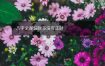 八字全是偏财多没有正财