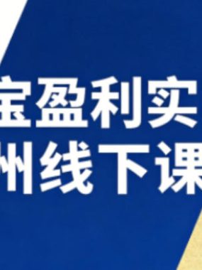 淘宝盈利实战班杭州线下课12月26-28日（音频+字幕），帮你掌握SOP流程+12门核心技术