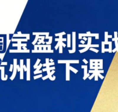 淘宝盈利实战班杭州线下课12月26-28日（音频+字幕），帮你掌握SOP流程+12门核心技术