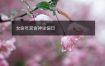 女命年宫食神坐偏印