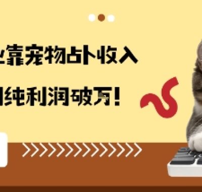 从兴趣到副业靠宠物占卜收入翻3倍一个月纯利润破W