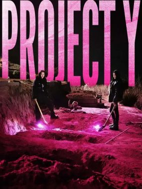 [夸克网盘] 《Y计划》 (2025) – 韩国 动作 1080P 韩语中字