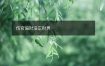 伤官偏财没正财男