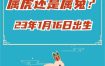 兔儿君不愿另一半知晓的秘密