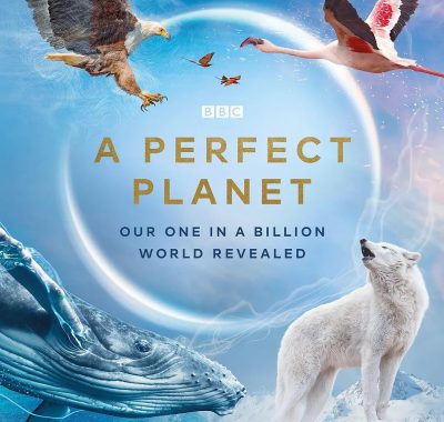 【高分纪录片】完美星球A Perfect Planet (2021) 4K-2160P 外挂中文字幕 【豆瓣9.6分】