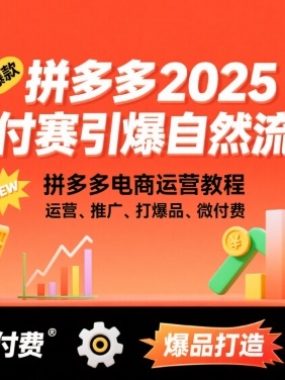 拼多多2025微付费引爆自然流量,拼多多电商运营教程,运营、推广、打爆品、微付费(更新)