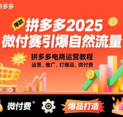 拼多多2025微付费引爆自然流量,拼多多电商运营教程,运营、推广、打爆品、微付费(更新)