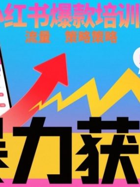 小红书爆款培训班，小红书获客野路子流量打法，暴力持续获客
