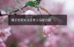 庚子伤官女注定老公没能力吗