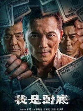【4K电影】我是卧底（2026）动作/犯罪 4K-2160P国语中字【邹兆龙/于荣光】