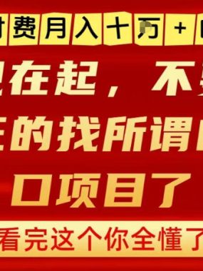 知识付费月入10个W的真相，做网创项目这一个就够了，不要再疯狂的找所谓的风口项目【揭秘】