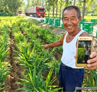农村搞钱新路子：这些接地气的项目，真有人靠它翻了身！