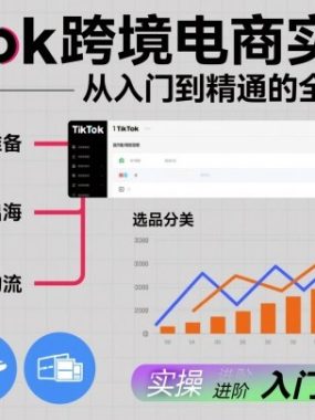 TikTok跨境电商实操课,从入门到精通的全实操流程