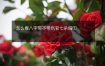 怎么看八字带不带伤官七杀偏印