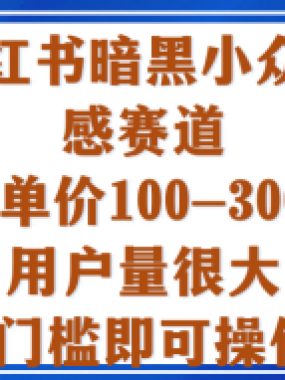 小红书暗黑小众情感赛道，客单价100-300+用户量很大，0门槛即可操作