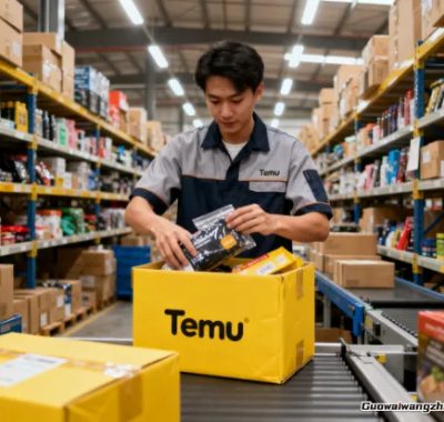 Temu开店要花多少钱？真实资金投入全攻略，小本起家也能玩转海外