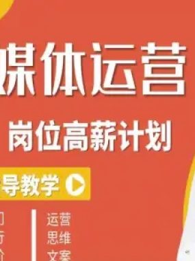 新媒体运营高薪升核培养计划，入门-转行-进阶