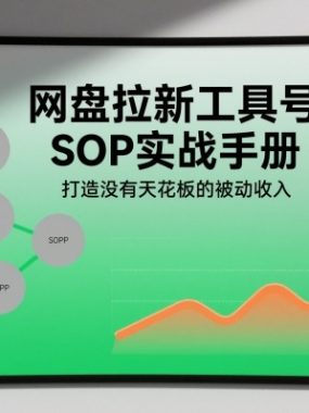 网盘拉新工具号SOP实战手册，打造没有天花板的被动收入