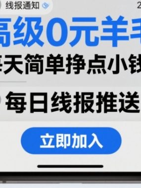 高级0元羊毛线报社群项目，每天简单挣点小钱