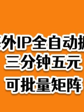 海外ip全自动掘金，2025必做蓝海项目，3分钟落地，矩阵直接开干【揭秘】