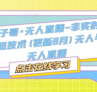 宝子哥·无人直播-非实时防风技术(更新25年12月)无人半无人直播