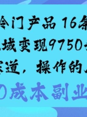 蓝海冷门产品：16条笔记私域变现9750米小众赛道，操作的人不多