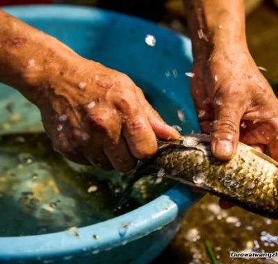 凌晨三点的菜市场，藏着卖鱼人不想告诉你的秘密