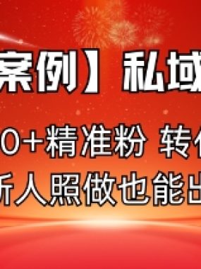 【实测案例】私域新玩法，日引30+精准粉，转化率50%，新人照做也能出单！