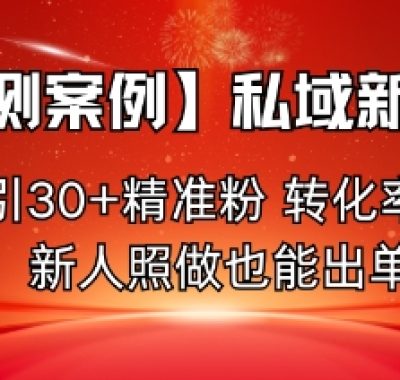 【实测案例】私域新玩法，日引30+精准粉，转化率50%，新人照做也能出单！