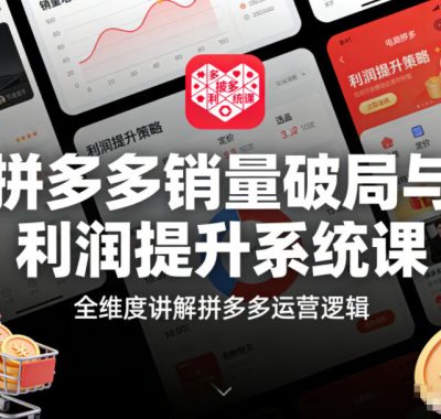拼多多销量破局与利润提升系统课，全维度讲解拼多多运营逻辑