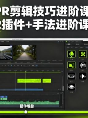 PR剪辑技巧进阶课,PR插件+手法进阶课程