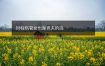 时柱伤官女也是克夫的吗