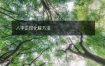 八字正印化解方法
