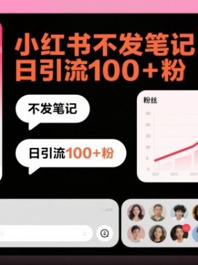 引流系列课14：小红书不发笔记日引流100+粉