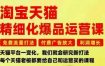 淘宝天猫精细化爆品运营课，免费流量打法-付费广告放大-利润增长-三大核心痛点，一次全部解决